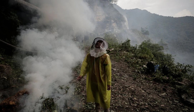 Xem những người thợ săn mật ong cheo leo trên vách đá dựng đứng - Hình 4 Xem nhung nguoi tho san mat ong cheo leo tren vach da dung dung-Hinh-4