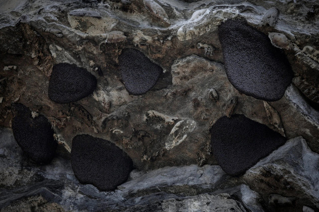 Xem những người thợ săn mật ong cheo leo trên vách đá dựng đứng - Hình 9 Xem nhung nguoi tho san mat ong cheo leo tren vach da dung dung-Hinh-9