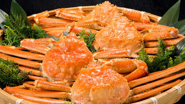 Cua tuyết Nhật Bản có giá vô cùng đắt đỏ đến 1,6 tỷ đồng mỗi con - Hình 8 Cua tuyet Nhat Ban co gia vo cung dat do den 1,6 ty dong moi con-Hinh-8