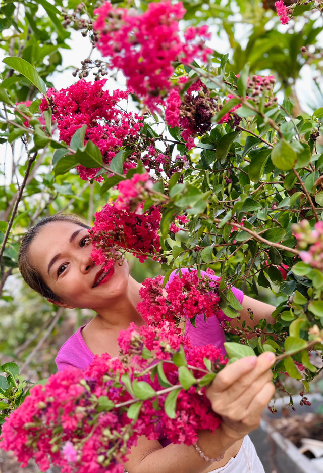 Ca sĩ Mỹ Lệ sở hữu một khu vườn tràn ngập hoa và trái cây - Hình 8 Ca si My Le so huu mot khu vuon tran ngap hoa va trai cay-Hinh-8