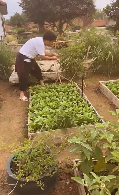 Vo chong Truong Giang - Nha Phuong so huu 'biet phu' hang nghin met vuong-Hinh-10