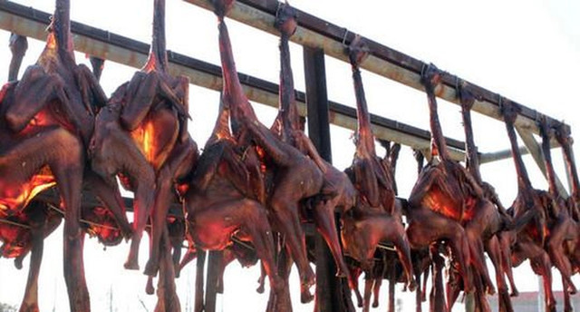 Món gà hong gió đại gia đua nhau ăn và sự thật tàn nhẫn - Hình 7 Mon ga hong gio dai gia dua nhau an va su that tan nhan-Hinh-7