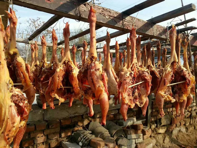 Món gà hong gió đại gia đua nhau ăn và sự thật tàn nhẫn - Hình 10 Mon ga hong gio dai gia dua nhau an va su that tan nhan-Hinh-10