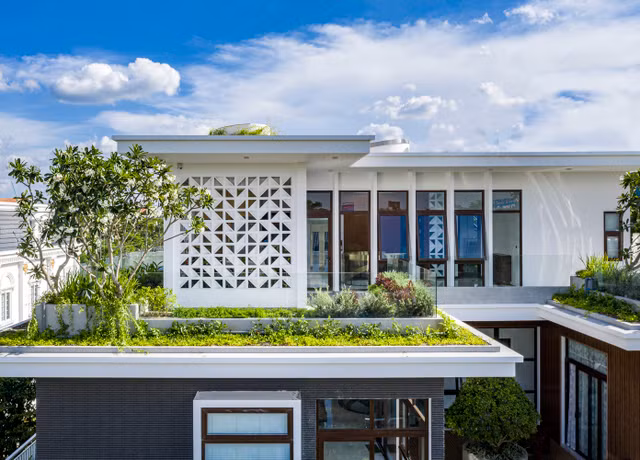 Tan muc biet thu miet vuon mien Tay day cay xanh-Hinh-4