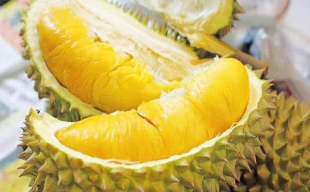 Bí quyết chọn sầu riêng cơm vàng, hạt lép Bi quyet chon sau rieng com vang, hat lep