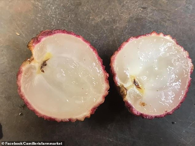 7 loại quả không hạt đắt như tôm tươi dành cho giới nhà giàu 7 loai qua khong hat dat nhu tom tuoi danh cho gioi nha giau