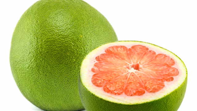 7 loai qua khong hat dat nhu tom tuoi danh cho gioi nha giau-Hinh-9