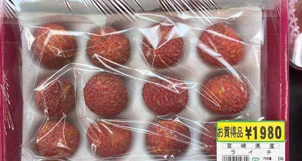 Mit, vai, xoai Viet Nam xuat sang Nhat co gia tien trieu-Hinh-5