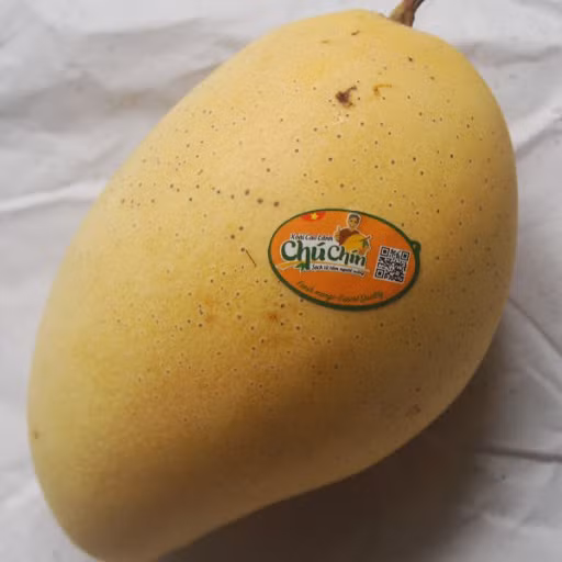 Mit, vai, xoai Viet Nam xuat sang Nhat co gia tien trieu-Hinh-11