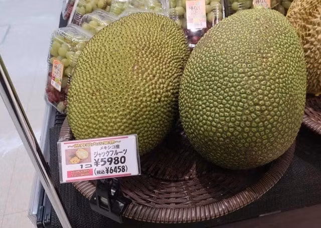 Mit, vai, xoai Viet Nam xuat sang Nhat co gia tien trieu