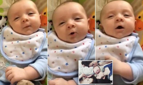 Bố mẹ sốc vì con 7 tuần tuổi đã biết nói hello Bo me soc vi con 7 tuan tuoi da biet noi hello