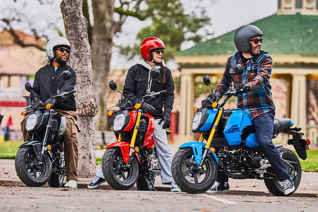 Xe minibike côn tay giá 129 triệu đồng - Hình 8 Xe minibike con tay gia 129 trieu dong-Hinh-8