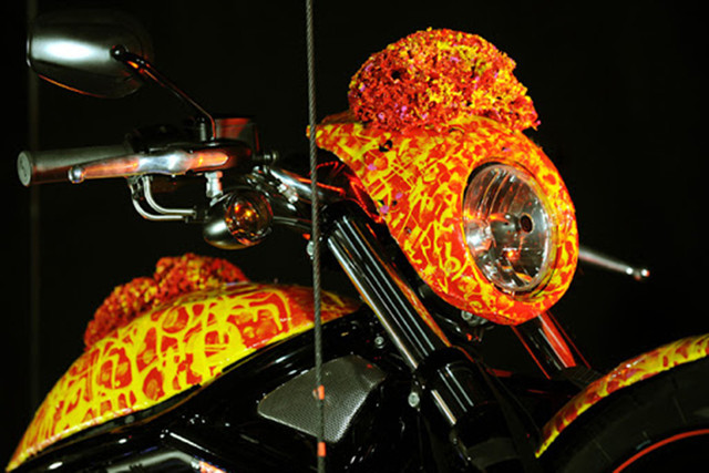 Cận cảnh Harley-Davidson được chào bán tới 697 tỷ đồng - Hình 4 Can canh Harley-Davidson duoc chao ban toi 697 ty dong-Hinh-4