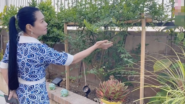 Bên trong biệt thự triệu đô của Ngọc Huyền tại Mỹ - Hình 12 Ben trong biet thu trieu do cua Ngoc Huyen tai My-Hinh-12