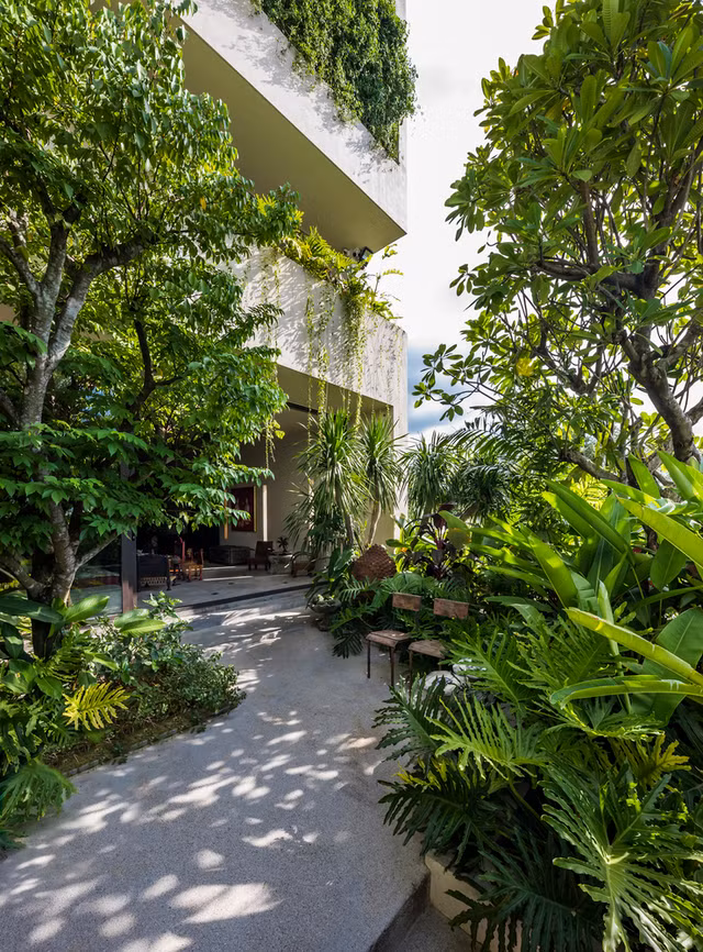 Can can can nha be tong nguyen khoi chim trong 'rung cay'-Hinh-4