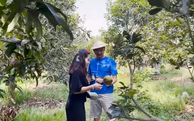 Ben trong khu vuon co nhieu cay an trai cua Tiet Cuong-Hinh-9