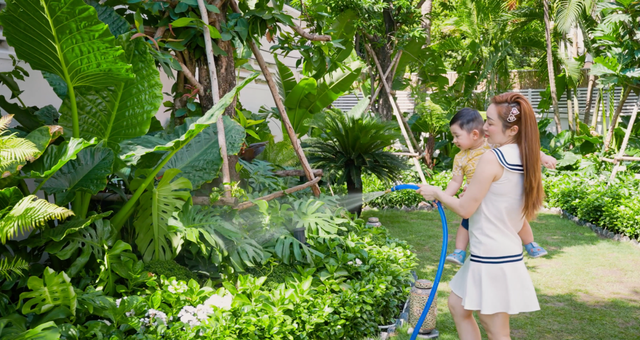 Đi xem khu vườn xanh mướt của vợ chồng Chi Bảo - Hình 8 Di xem khu vuon xanh muot cua vo chong Chi Bao-Hinh-8