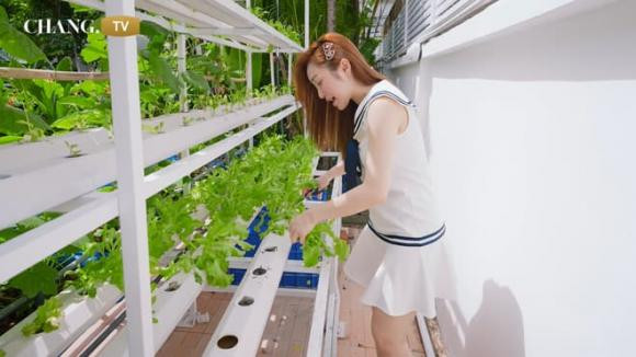 Đi xem khu vườn xanh mướt của vợ chồng Chi Bảo - Hình 4 Di xem khu vuon xanh muot cua vo chong Chi Bao-Hinh-4