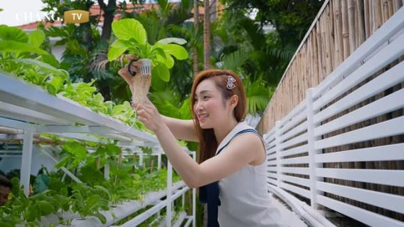 Đi xem khu vườn xanh mướt của vợ chồng Chi Bảo - Hình 3 Di xem khu vuon xanh muot cua vo chong Chi Bao-Hinh-3