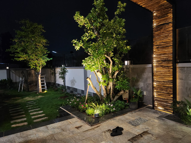 Can canh can biet thu 30 ty cua Quach Thanh Danh-Hinh-5