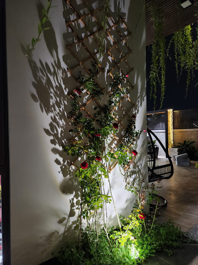 Can canh can biet thu 30 ty cua Quach Thanh Danh-Hinh-8