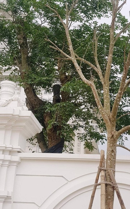 Cận cảnh “biệt phủ” tráng lệ của cụ bà 80 tuổi ở Hà Tĩnh - Hình 12 Can canh “biet phu” trang le cua cu ba 80 tuoi o Ha Tinh-Hinh-12