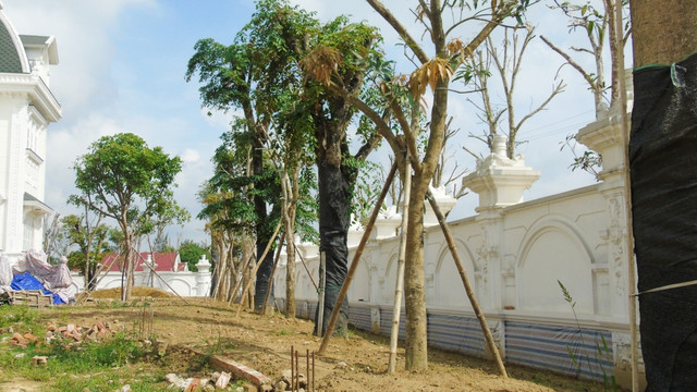 Cận cảnh “biệt phủ” tráng lệ của cụ bà 80 tuổi ở Hà Tĩnh - Hình 11 Can canh “biet phu” trang le cua cu ba 80 tuoi o Ha Tinh-Hinh-11