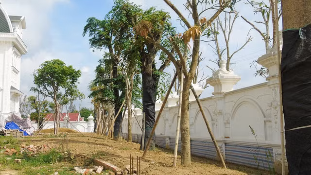 Can canh “biet phu” trang le cua cu ba 80 tuoi o Ha Tinh-Hinh-11