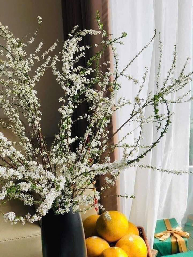 Săn lùng tuyết mai để chơi Tết sớm - Hình 6 San lung tuyet mai de choi Tet som-Hinh-6