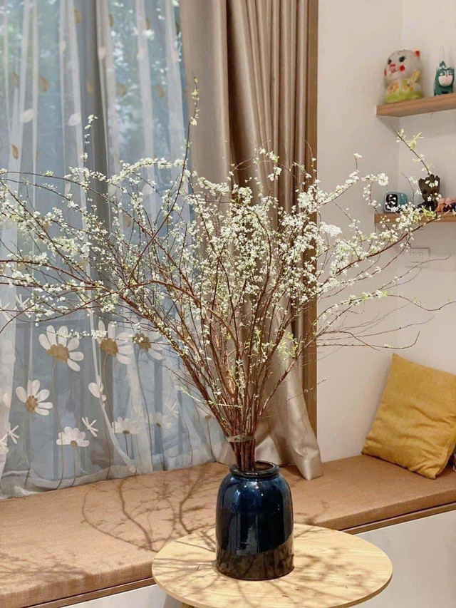 Săn lùng tuyết mai để chơi Tết sớm - Hình 7 San lung tuyet mai de choi Tet som-Hinh-7