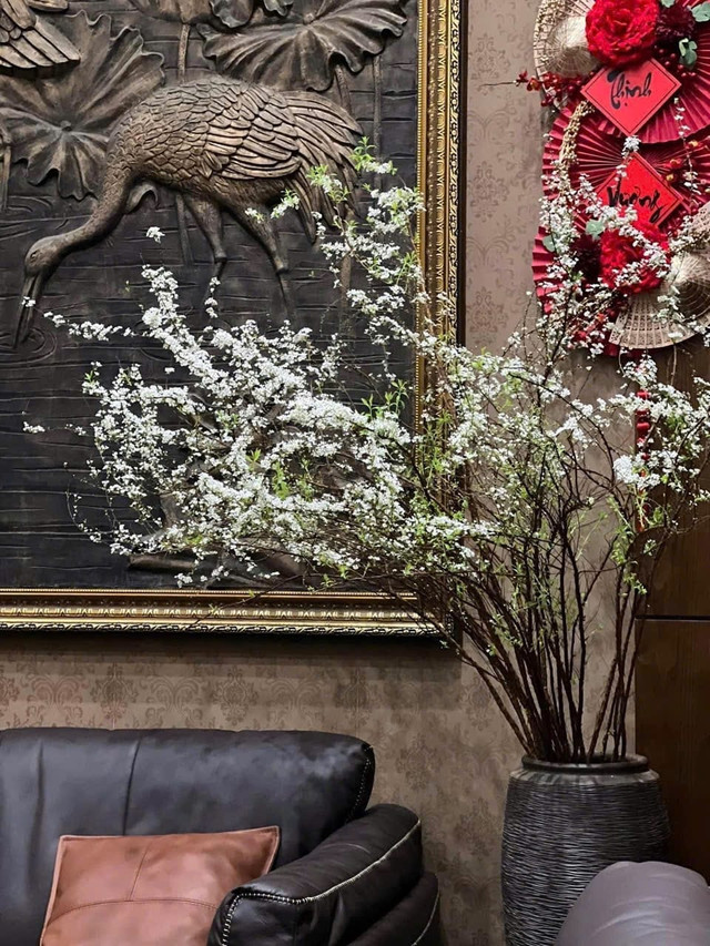 Săn lùng tuyết mai để chơi Tết sớm San lung tuyet mai de choi Tet som