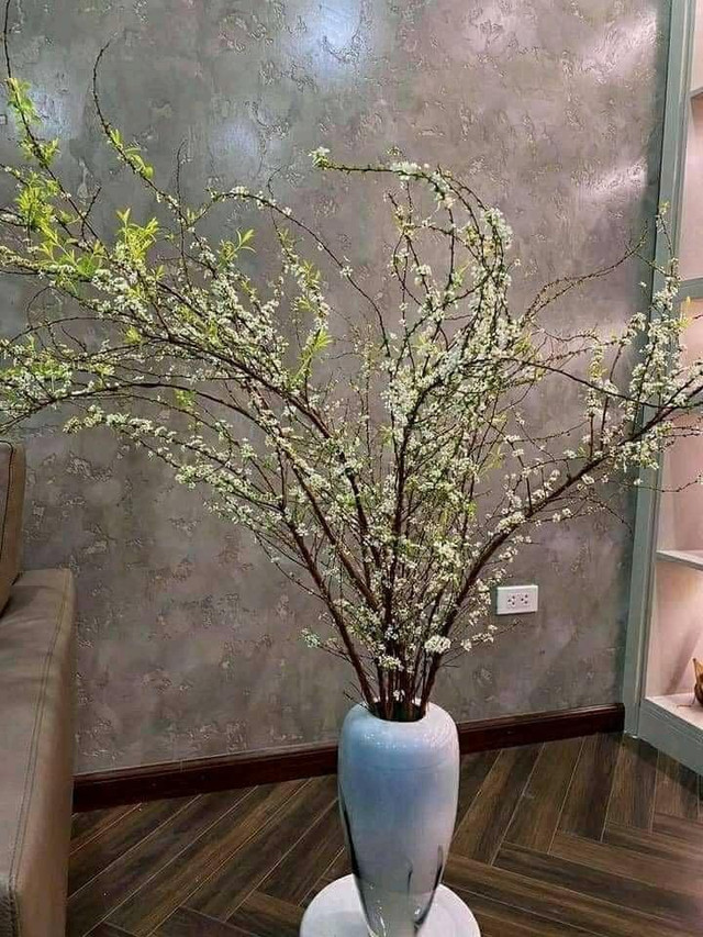 Săn lùng tuyết mai để chơi Tết sớm - Hình 9 San lung tuyet mai de choi Tet som-Hinh-9