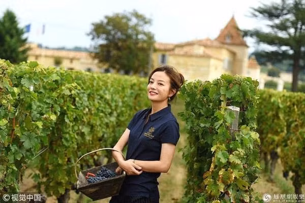 Toàn cảnh trang trại nho hoành tráng của Triệu Vy trước khi ly hôn - Hình 7 Toan canh trang trai nho hoanh trang cua Trieu Vy truoc khi ly hon-Hinh-7