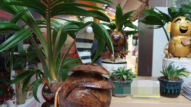 Trao luu san dua bonsai hinh ran hut khach choi Tet 2025-Hinh-5