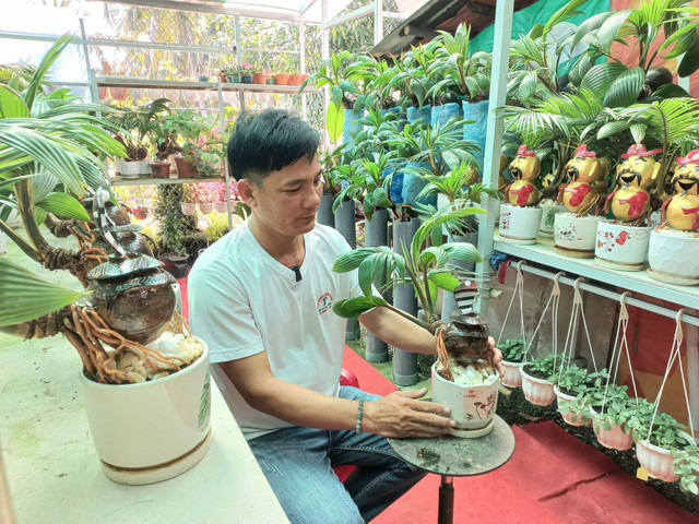 Trao luu san dua bonsai hinh ran hut khach choi Tet 2025-Hinh-3