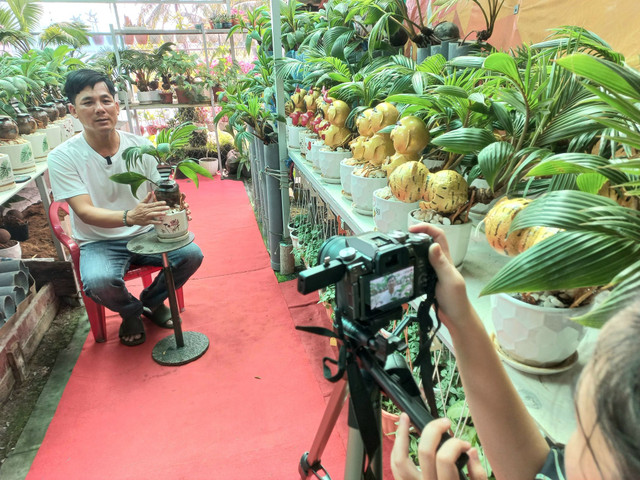 Trao luu san dua bonsai hinh ran hut khach choi Tet 2025-Hinh-9