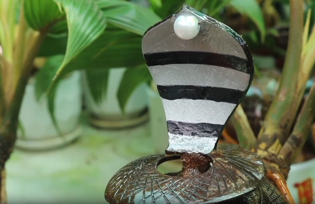 Trao luu san dua bonsai hinh ran hut khach choi Tet 2025-Hinh-7