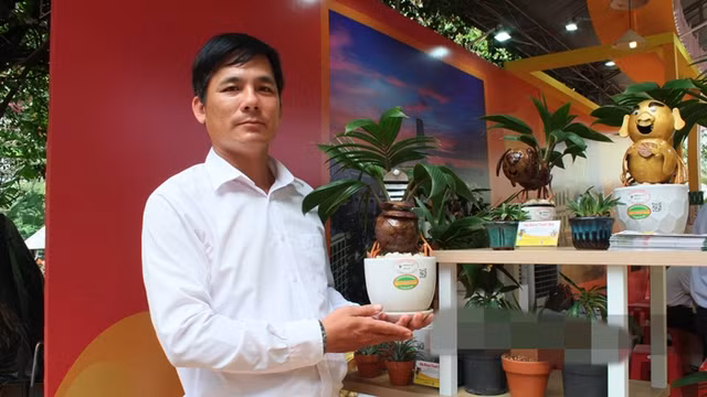 Trao luu san dua bonsai hinh ran hut khach choi Tet 2025