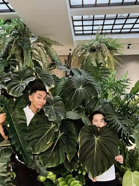 San vuon day mau xanh cua nha Khanh Thi - Phan Hien-Hinh-8