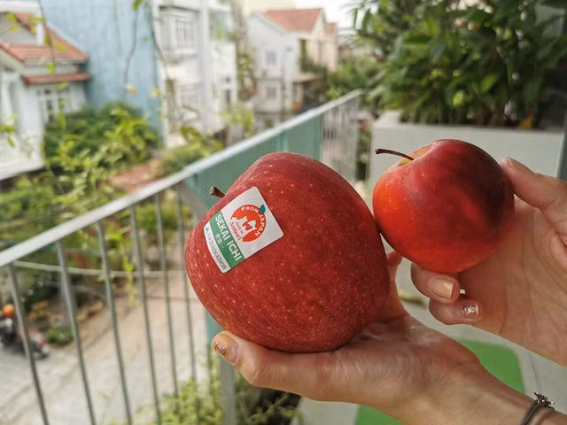 Gia hon 500.000 dong/trai, tao Sekai Ichi co gi dac biet?