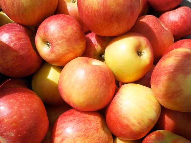 Gia hon 500.000 dong/trai, tao Sekai Ichi co gi dac biet?-Hinh-6