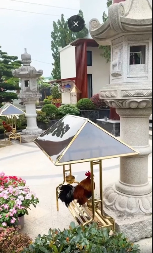 Hé lộ thêm những góc khác của biệt phủ đại gia thẩm mỹ Mailisa - Hình 3 He lo them nhung goc khac cua biet phu dai gia tham my Mailisa-Hinh-3