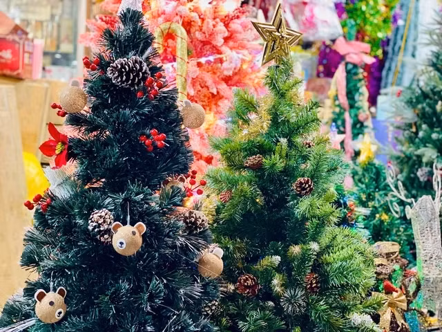 Cay thong Noel tui mu gia tien trieu van hut khach-Hinh-10