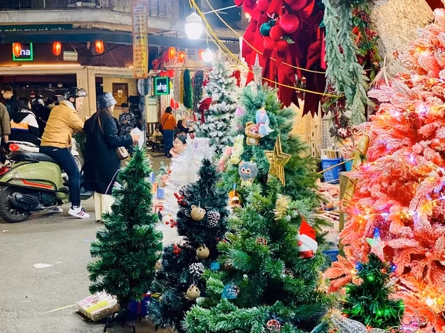 Cay thong Noel tui mu gia tien trieu van hut khach-Hinh-7
