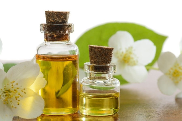 Hoa nhài thơm nức mũi có giá nửa triệu đồng/kg ở nước ngoài - Hình 8 Hoa nhai thom nuc mui co gia nua trieu dong/kg o nuoc ngoai-Hinh-8