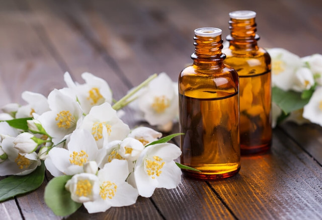 Hoa nhài thơm nức mũi có giá nửa triệu đồng/kg ở nước ngoài - Hình 7 Hoa nhai thom nuc mui co gia nua trieu dong/kg o nuoc ngoai-Hinh-7