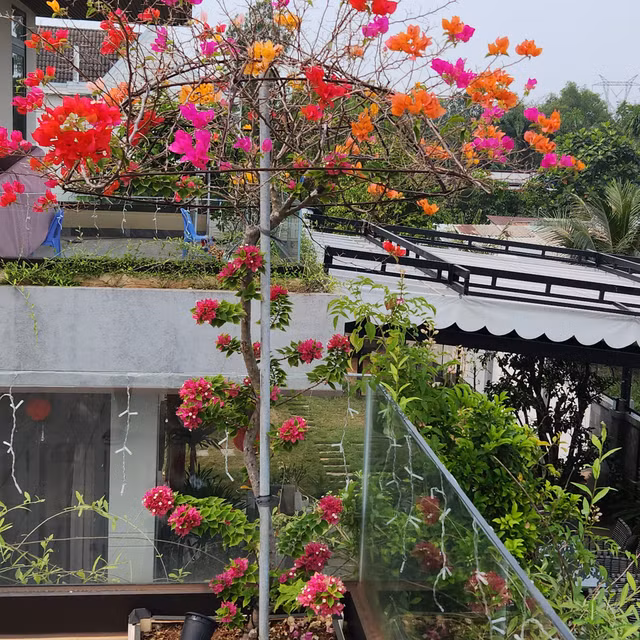 Tan muc biet thu 35 ty cua ca si Quach Thanh Danh-Hinh-10