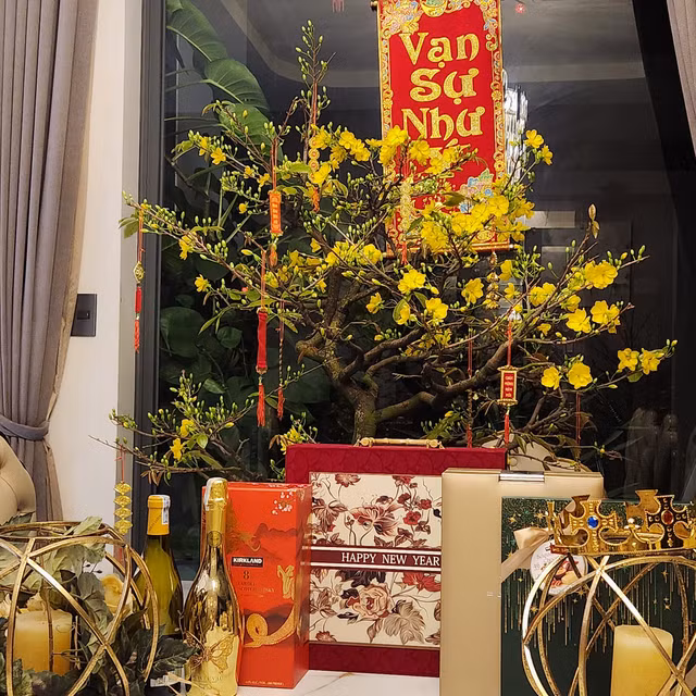 Tan muc biet thu 35 ty cua ca si Quach Thanh Danh-Hinh-8