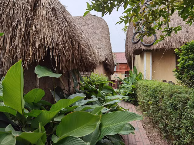 Boi hoi ngam lai nhung ngoi nha mai ra dong am, he mat-Hinh-10