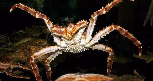 Su that ve cua hoang de 20 trieu dong/bua an-Hinh-3